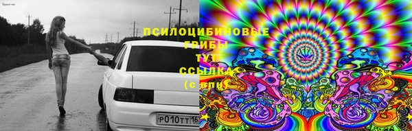 таблы Алексеевка